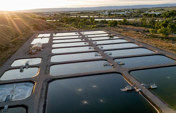Rows of reflective treatment pools